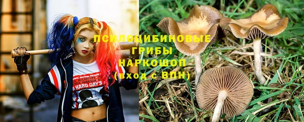стафф Лихославль