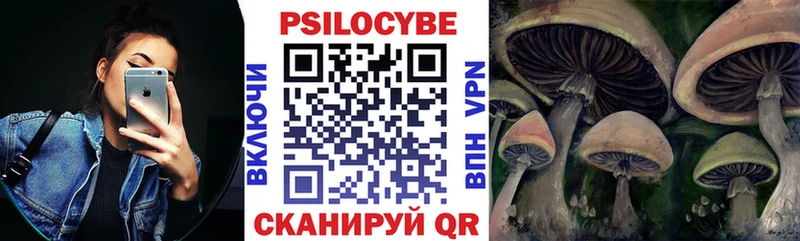 купить наркоту  Камызяк  Галлюциногенные грибы ЛСД 